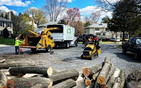 Greenville, VA Tree Services Company